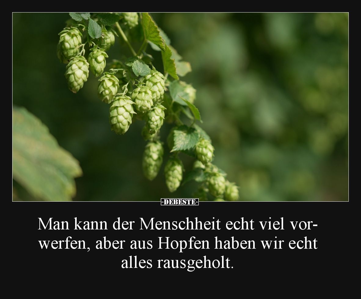 Man kann der Menschheit echt viel vorwerfen, aber aus Hopfen haben wir echt alles rausgeholt.