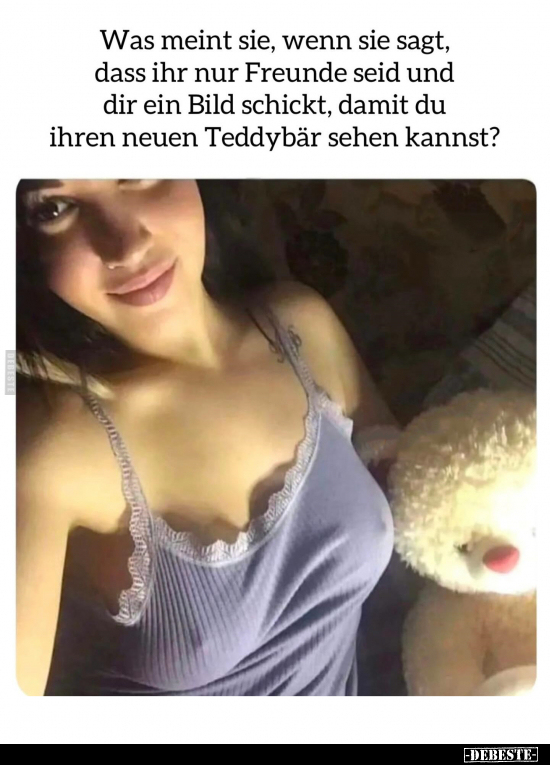 Wenn, Freunde, Teddybär