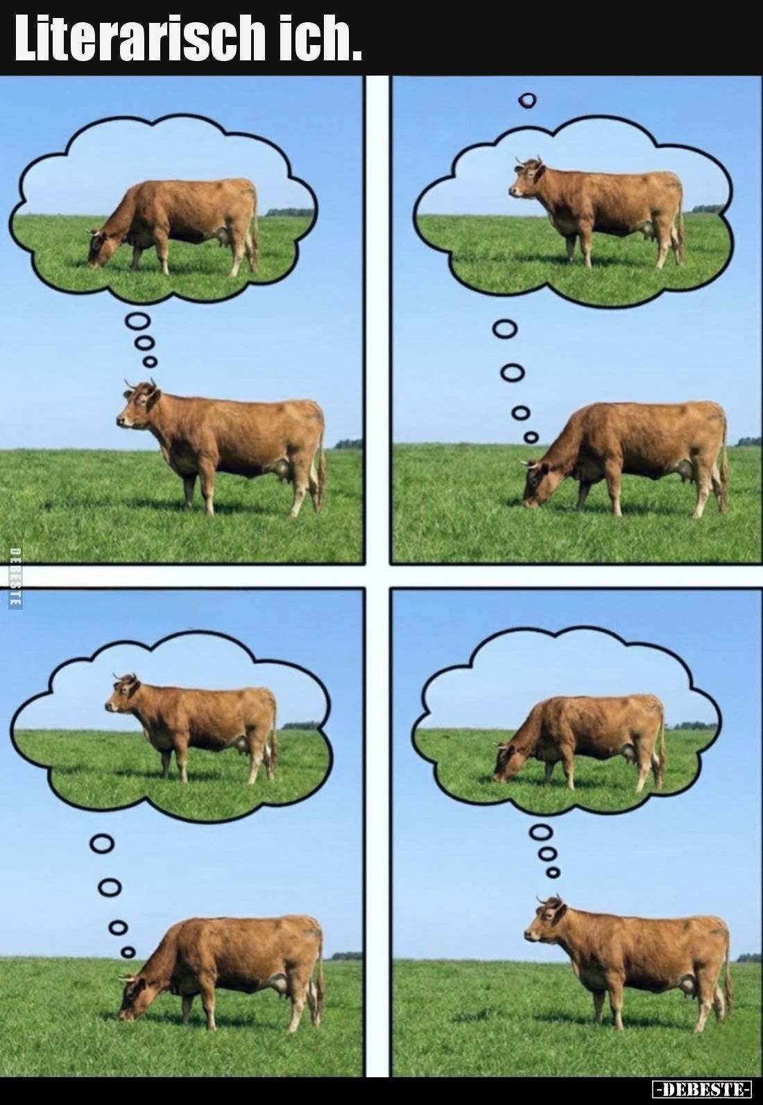 Literarisch ich...