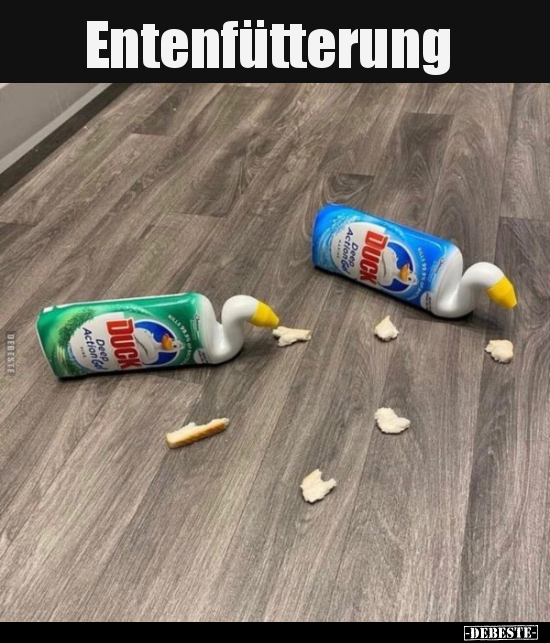 Entenfütterung..