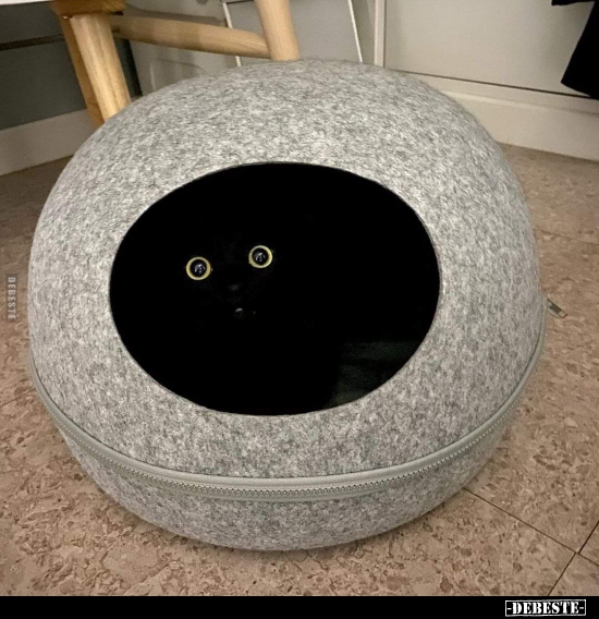  - Lustige Bilder | DEBESTE.de