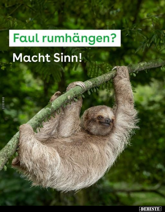 Faul rumhängen? - Macht Sinn!.. - Lustige Bilder | DEBESTE.de