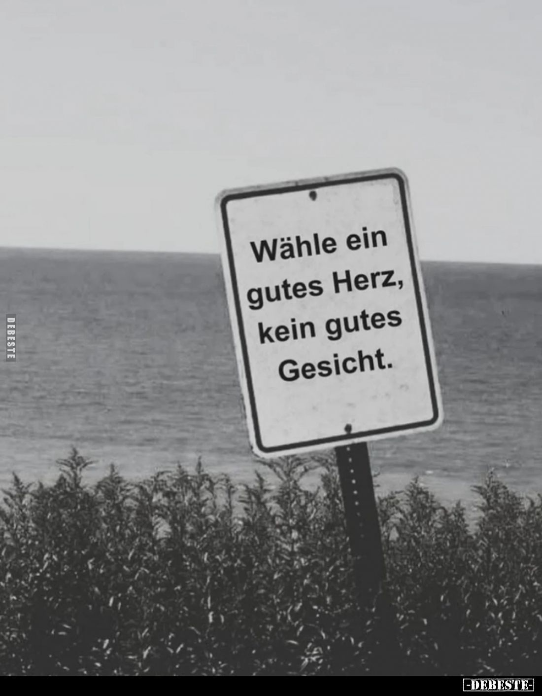 Wähle ein gutes Herz, kein gutes Gesicht.