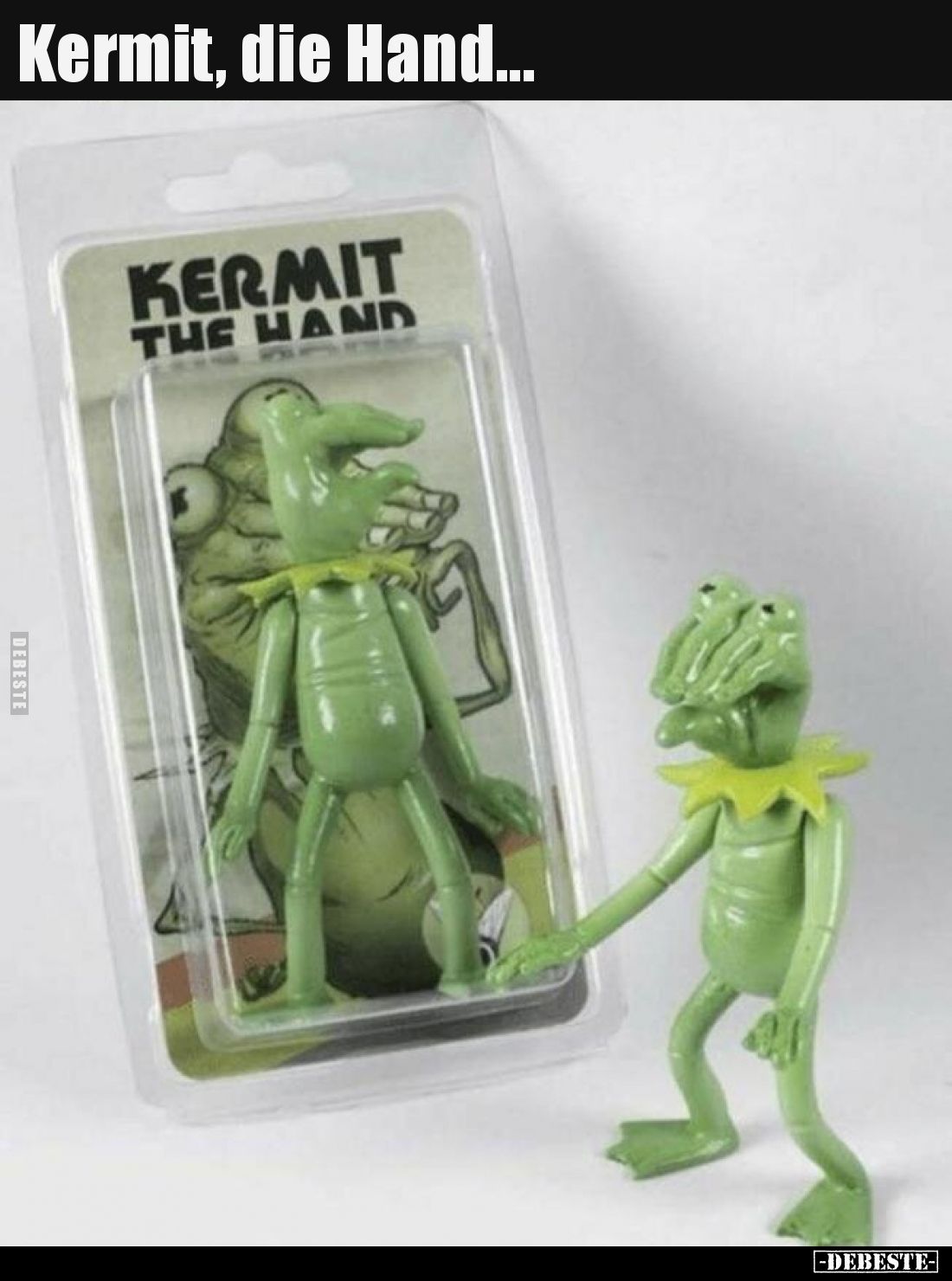 Kermit, die Hand...