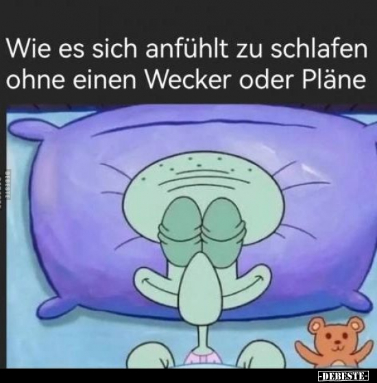Wie es sich anfühlt zu schlafen.. - Lustige Bilder | DEBESTE.de