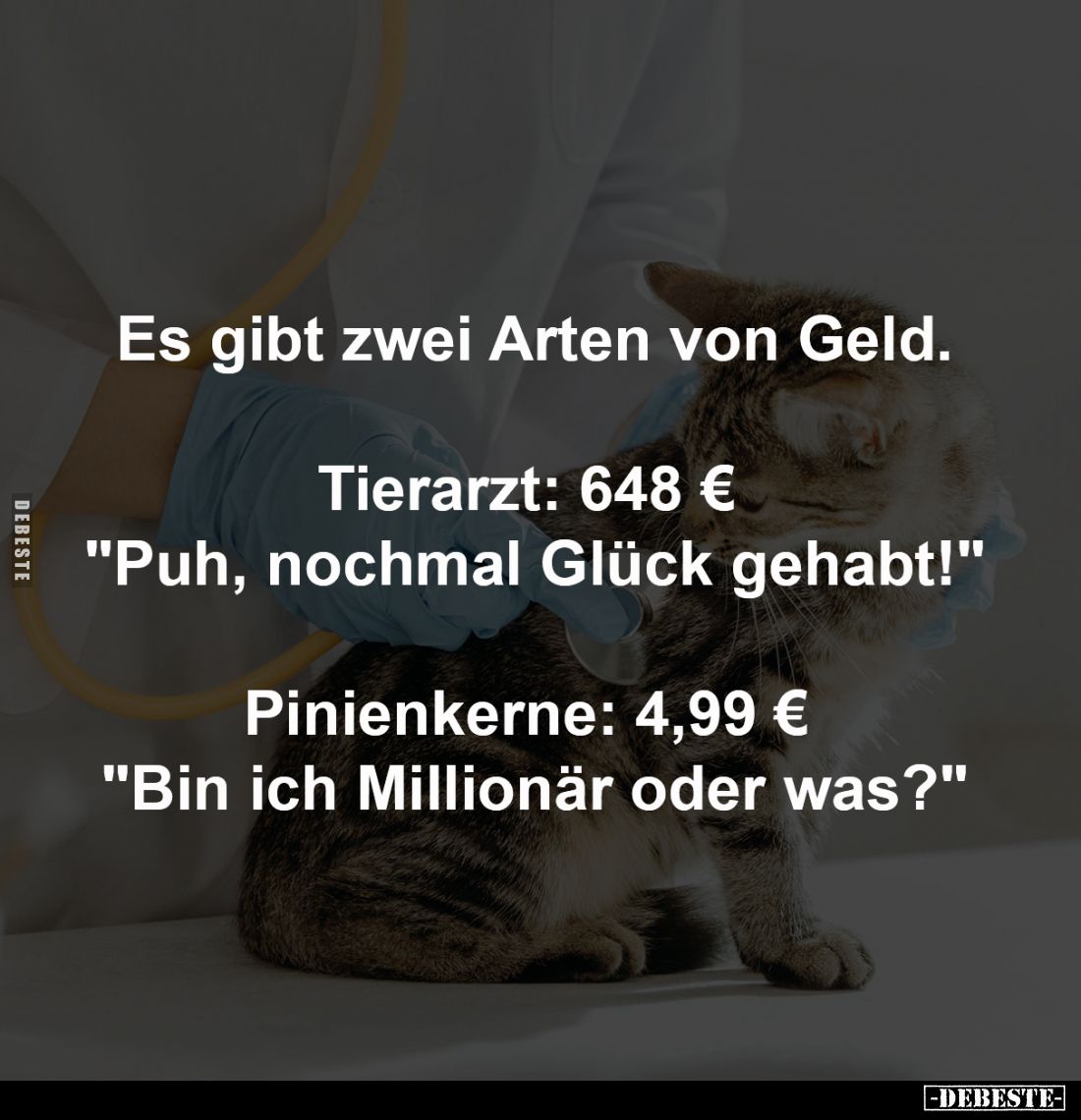 Es gibt zwei Arten von Geld.
-
Tierarzt: 648 € 
"Puh, nochmal Glück gehabt!"
-
Pinienkerne: 4,99 € 
"Bin...
