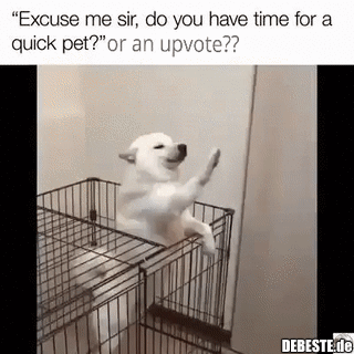 Entschuldigen Sie, mein Herr..