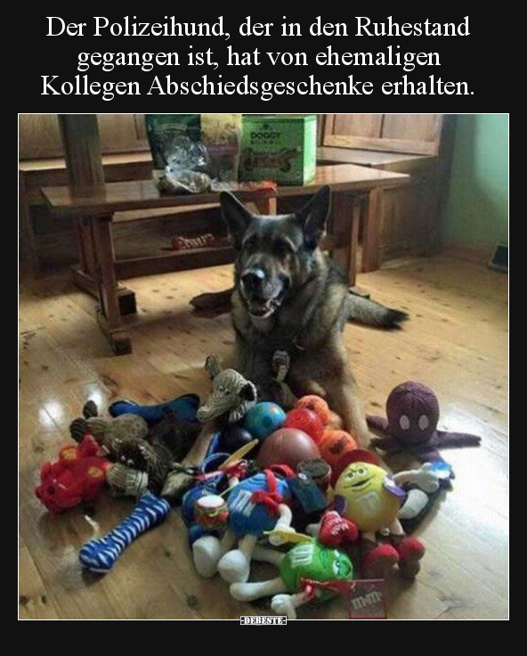 Der Polizeihund, der in den Ruhestand gegangen ist, hat von.. - Lustige Bilder | DEBESTE.de