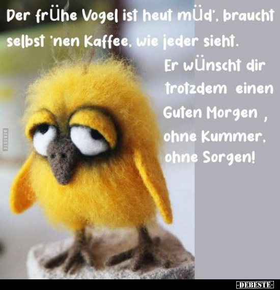 Der frühe Vogel ist heut müd, braucht selbst 'nen Kaffee.. - Lustige Bilder | DEBESTE.de