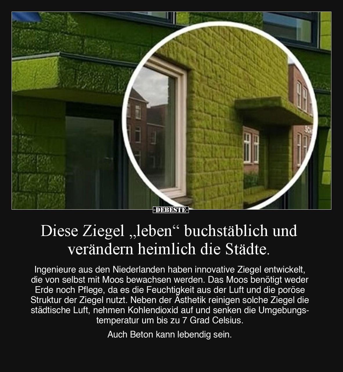 Diese Ziegel „leben“ buchstäblich und verändern heimlich die Städte.

Ingenieure aus den Niederlanden haben innovative Zieg...