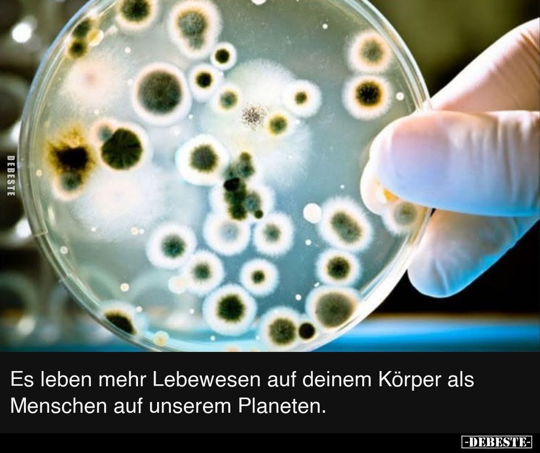 Es leben mehr Lebewesen auf deinem Körper als Menschen auf unserem Planeten.