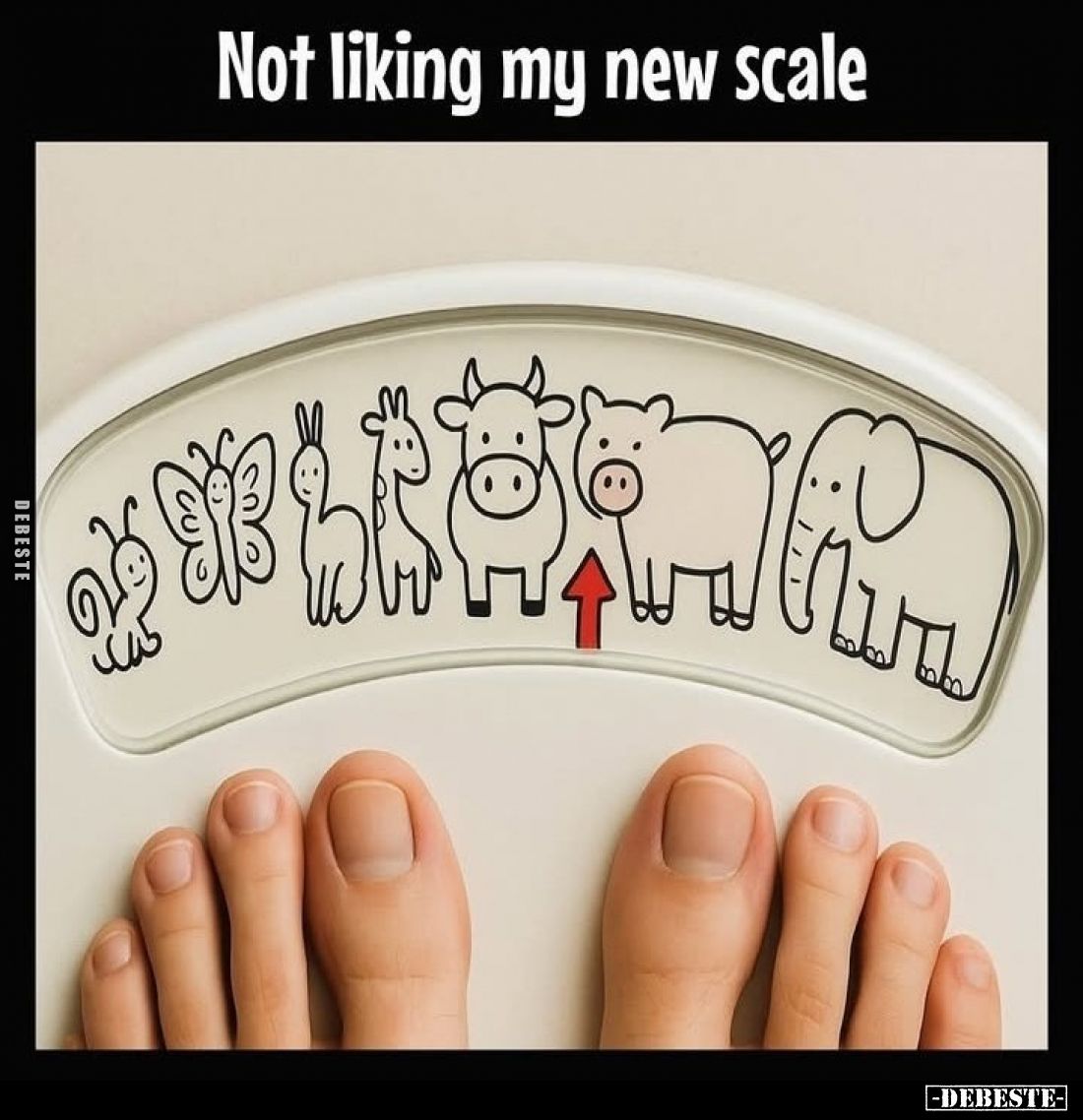 Not liking my new scale.