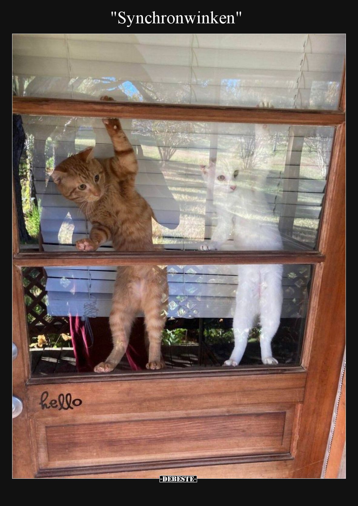 "Synchronwinken"