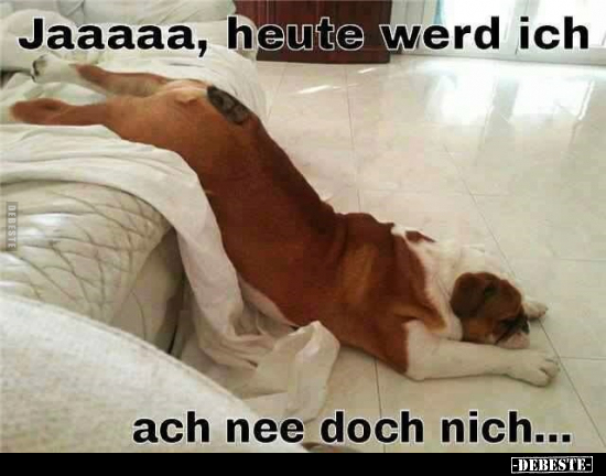 Jaaaaa, heute werd ich ach nee doch nich...