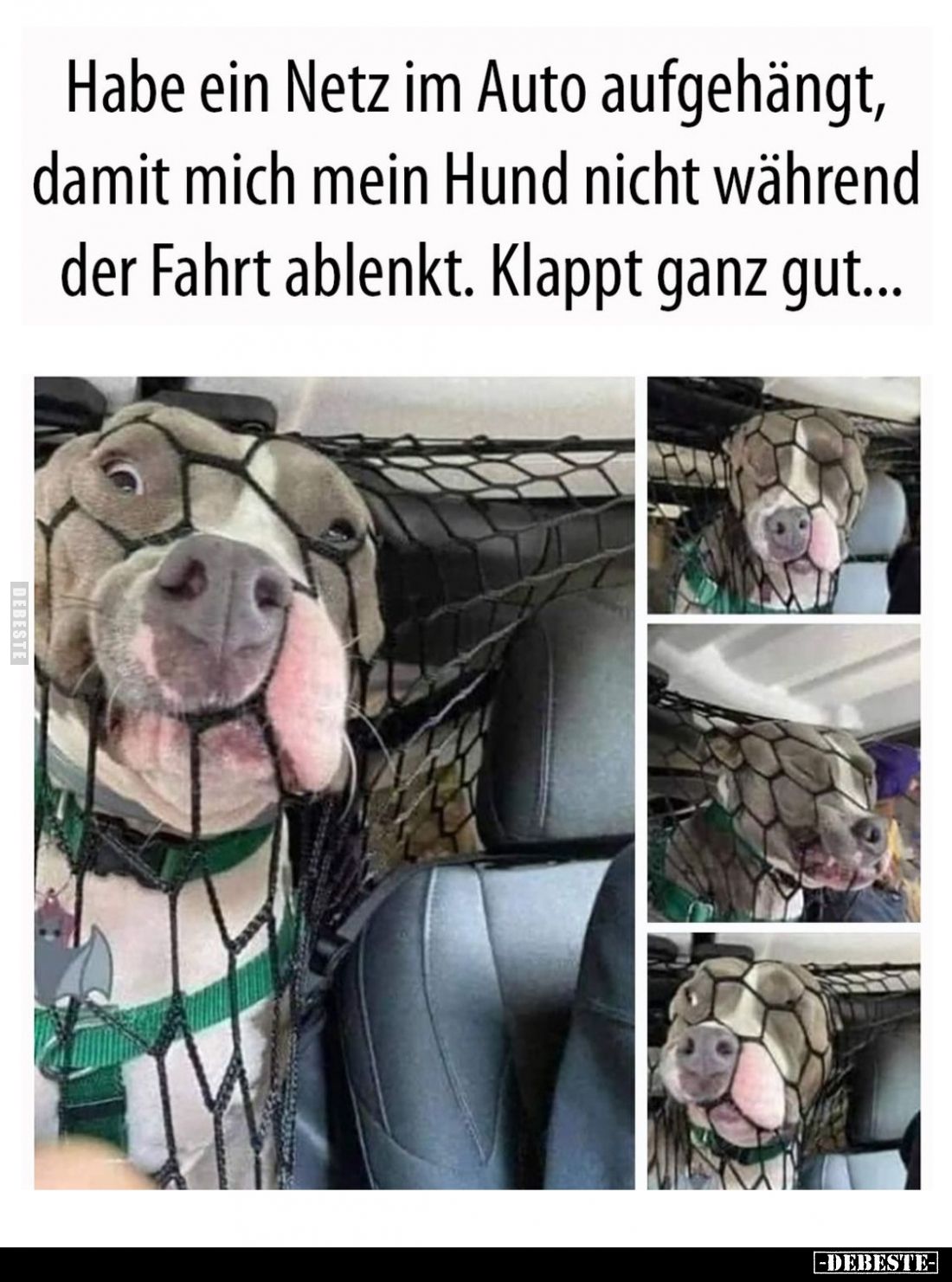 Habe ein Netz im Auto aufgehängt, damit mich mein Hund nicht während der Fahrt ablenkt. Klappt ganz gut...