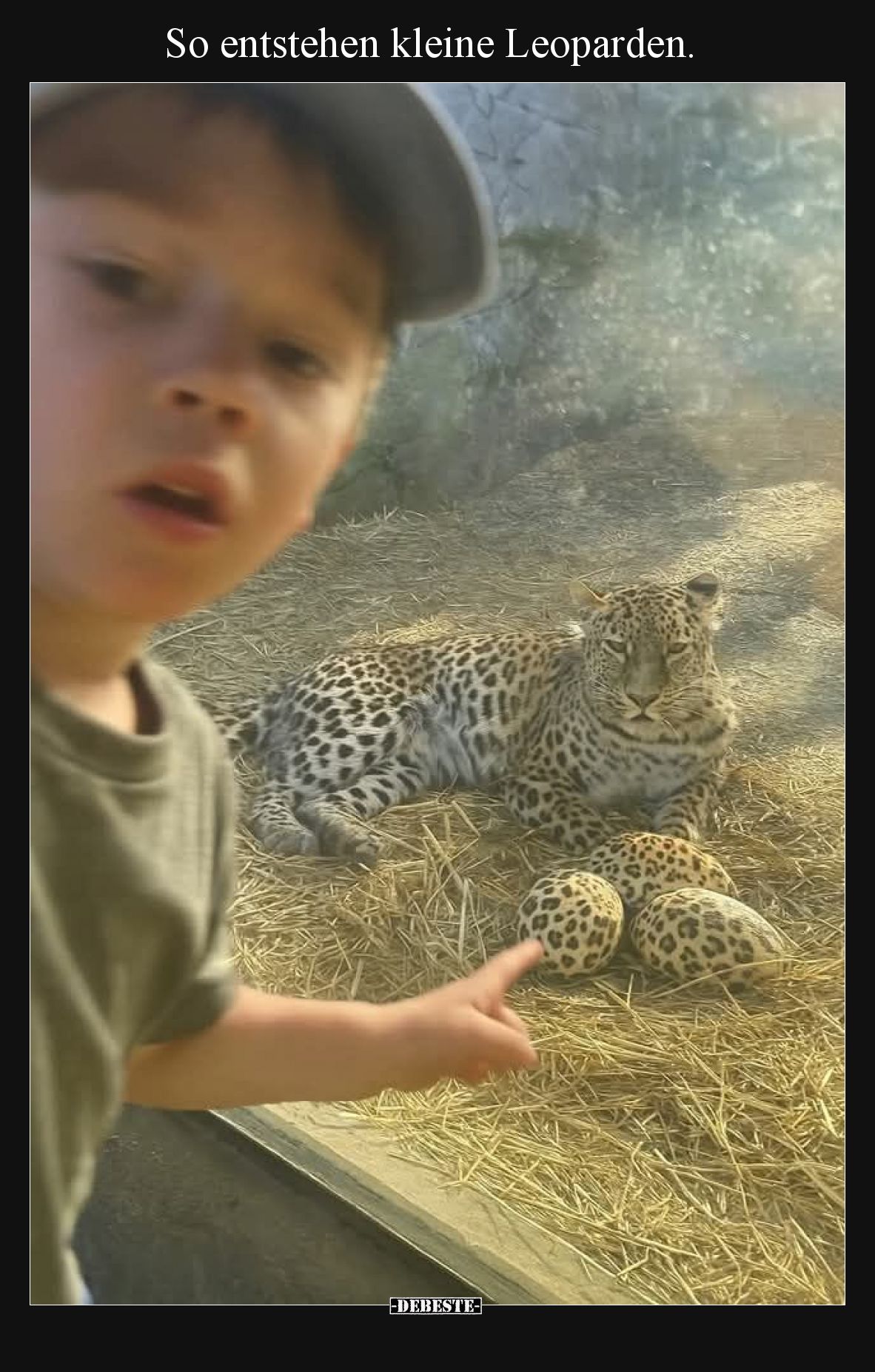 So entstehen kleine Leoparden.
