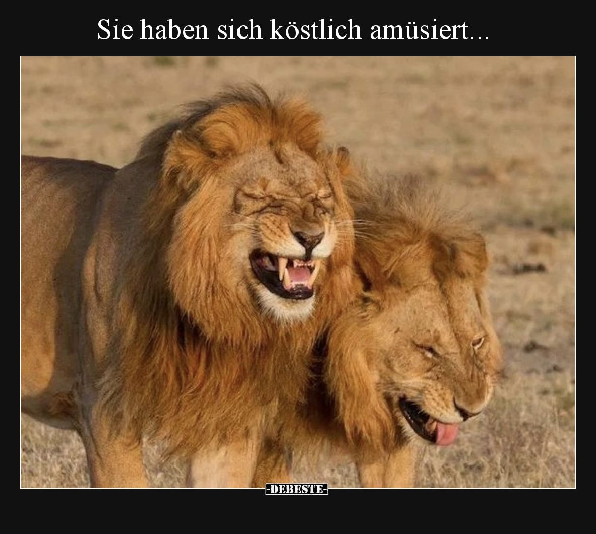Sie haben sich köstlich amüsiert.