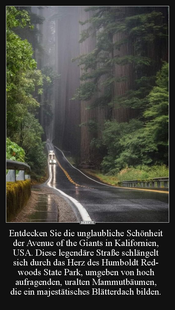 Entdecken Sie die unglaubliche Schönheit.. - Lustige Bilder | DEBESTE.de