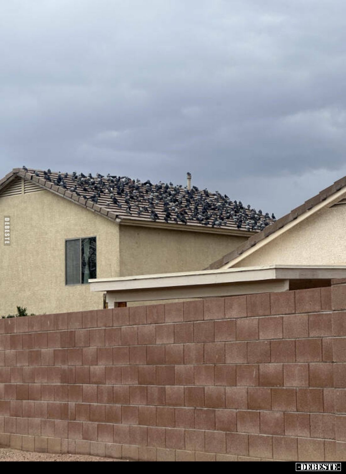  - Lustige Bilder | DEBESTE.de