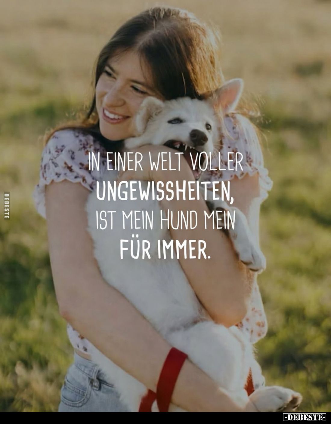 In einer Welt voller Ungewissheiten, ist mein Hund mein für.. - Lustige Bilder | DEBESTE.de