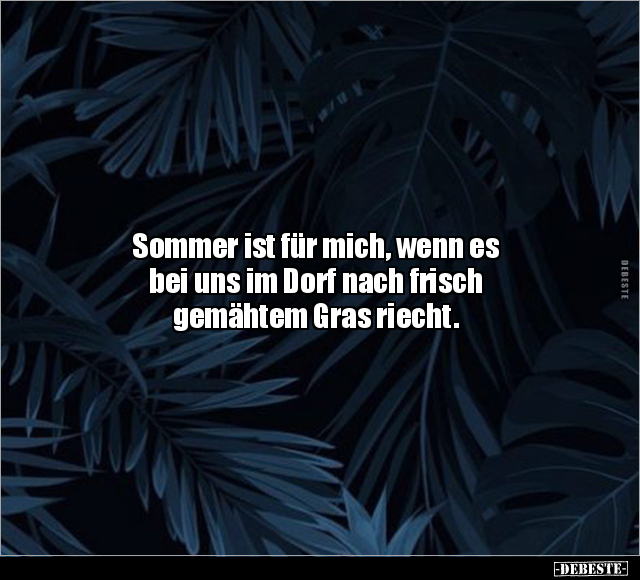 Sommer ist für mich, wenn es bei uns im Dorf.. - Lustige Bilder | DEBESTE.de