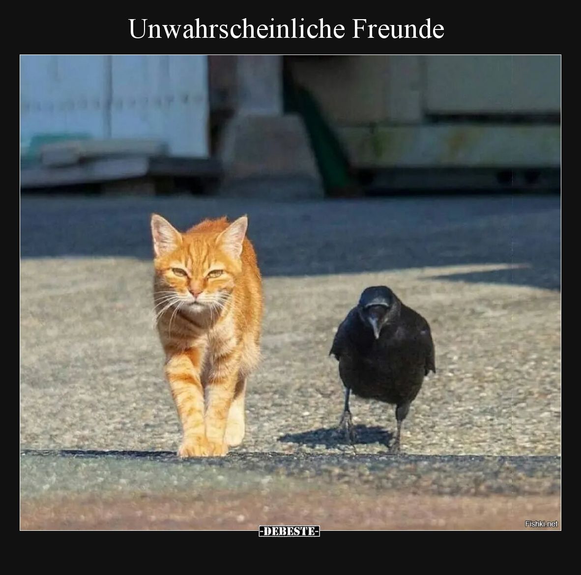 Unwahrscheinliche Freunde