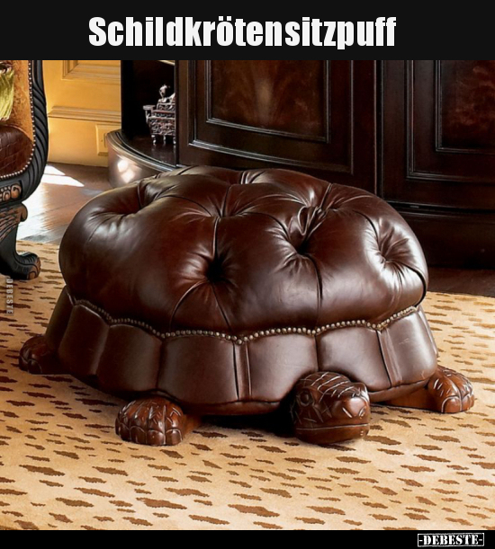 Schildkrötensitzpuff.. - Lustige Bilder | DEBESTE.de