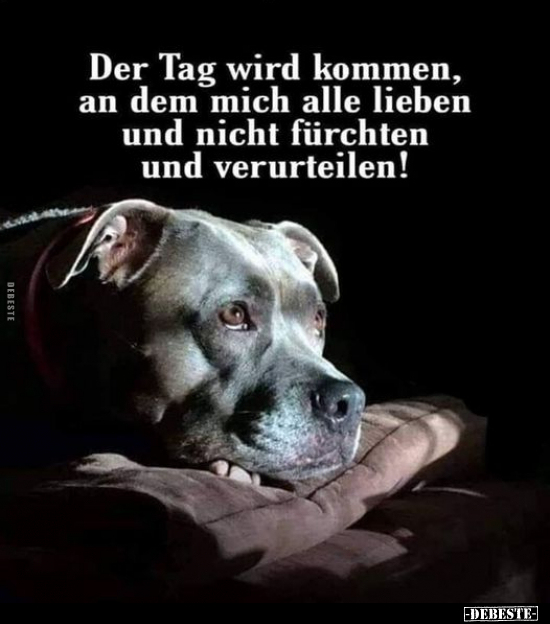 Der Tag wird kommen, an dem mich alle lieben und nicht..