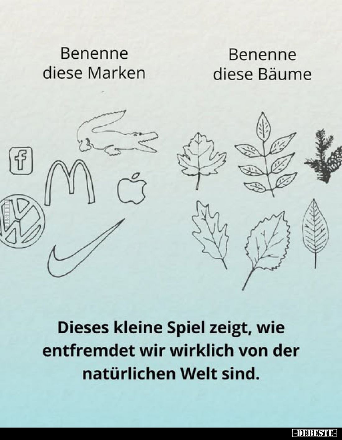 Dieses kleine Spiel zeigt, wie entfremdet wir wirklich von der natürlichen Welt sind. - Benenne diese Marken und Bäume.