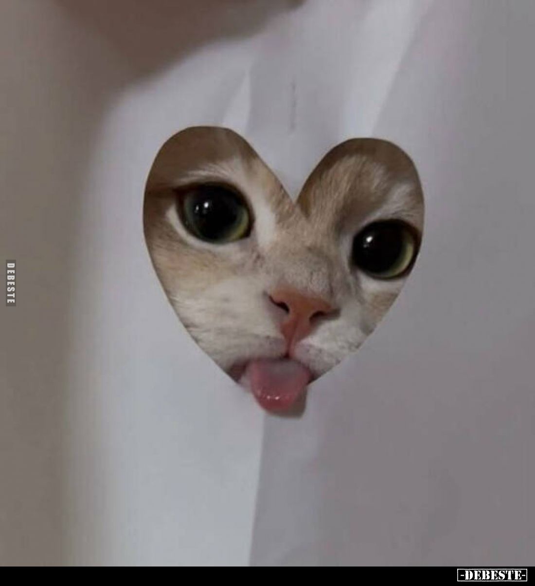 ♥