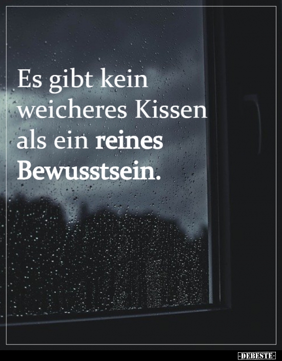 Es gibt kein weicheres Kissen als ein reines Bewusstsein. - Lustige Bilder | DEBESTE.de