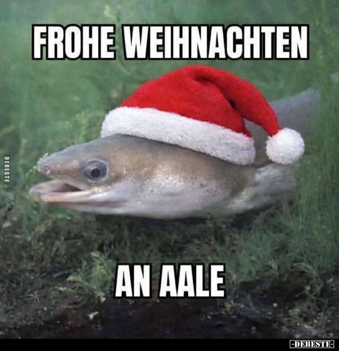  - Lustige Bilder | DEBESTE.de