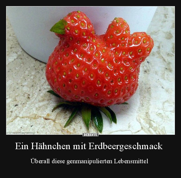 Ein Hähnchen mit Erdbeergeschmack.. - Lustige Bilder | DEBESTE.de