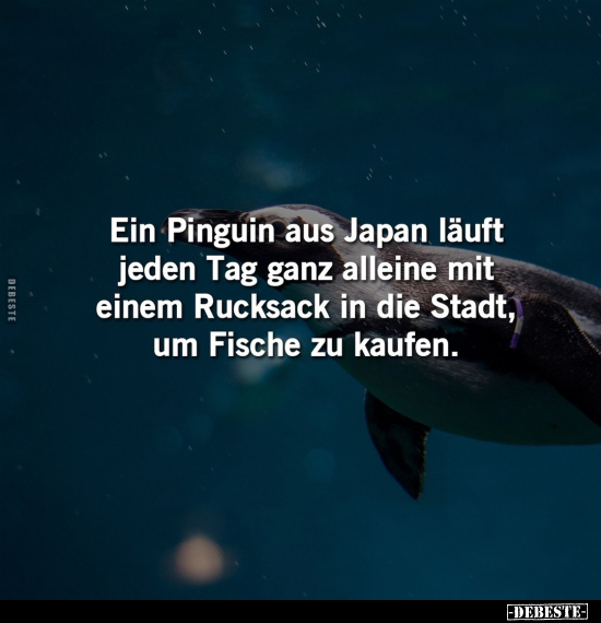 Ein Pinguin aus Japan läuft jeden Tag ganz alleine mit.. - Lustige Bilder | DEBESTE.de