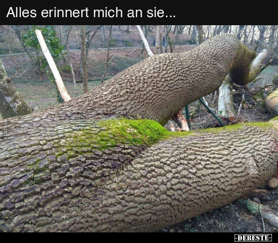 Alles erinnert mich an sie... - Lustige Bilder | DEBESTE.de