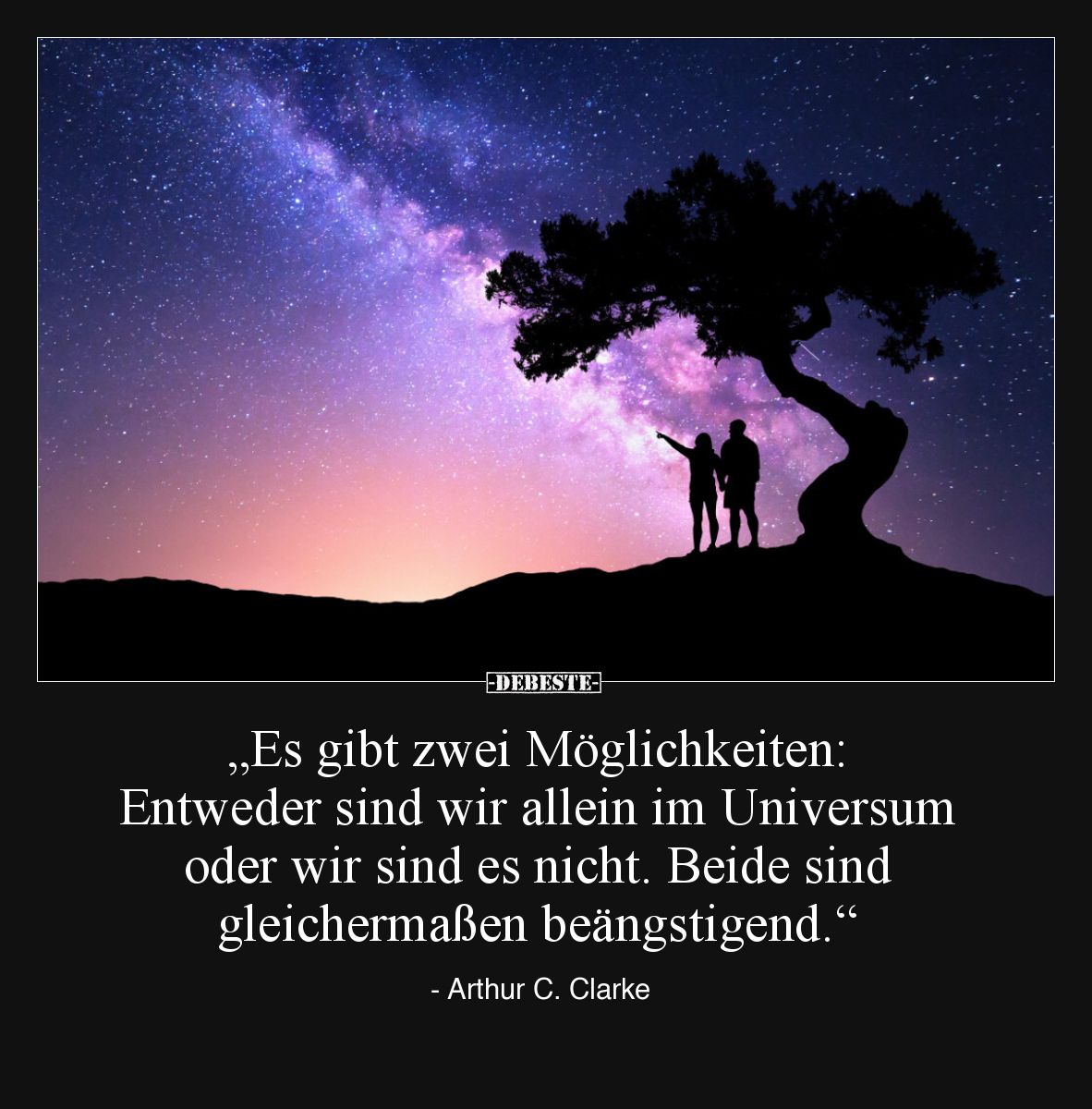 „Es gibt zwei Möglichkeiten: 
Entweder sind wir allein im Universum oder wir sind es nicht. Beide sind gleichermaßen beängst...