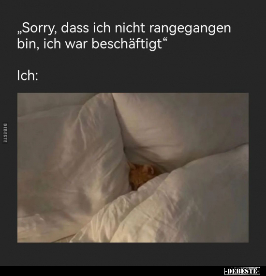 "Sorry, dass ich nicht rangegangen bin, ich war beschäftigt.." - Lustige Bilder | DEBESTE.de