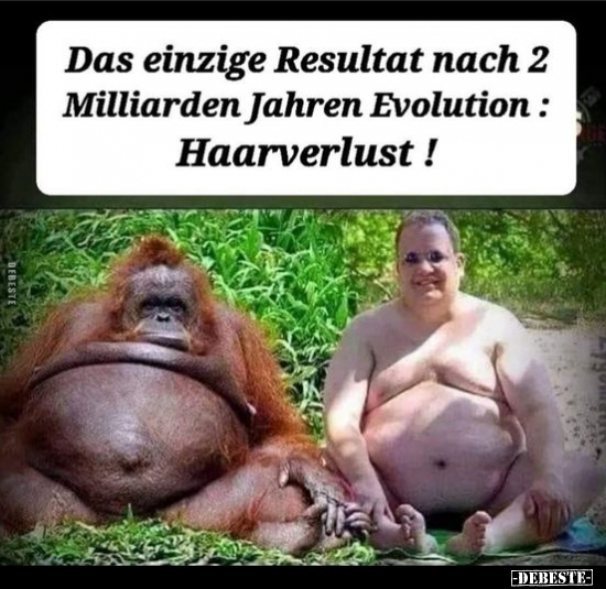 Das einzige Resultat nach 2 Milliarden Jahren Evolution.. - Lustige Bilder | DEBESTE.de