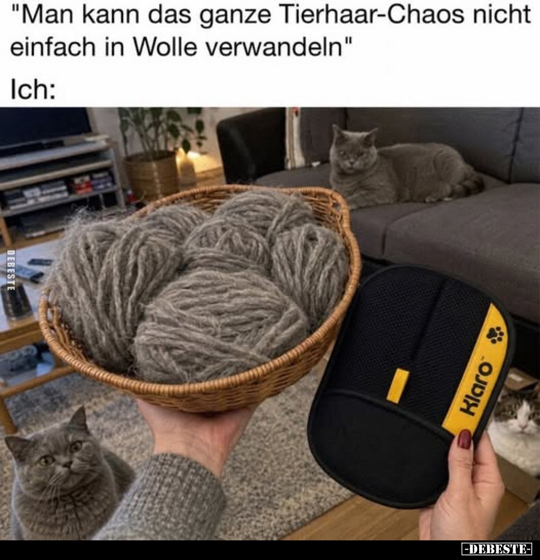 "Man kann das ganze Tierhaar-Chaos nicht einfach in Wolle verwandeln"
Ich: