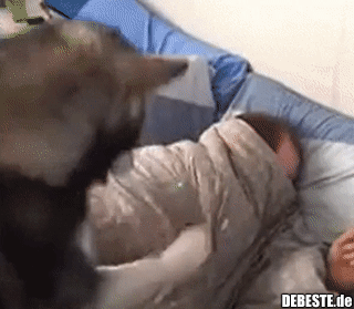 Freundlicher Weckdienst..