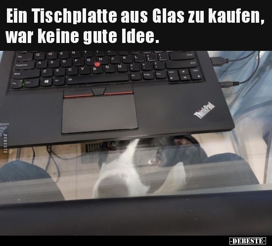 Ein Tischplatte aus Glas zu kaufen, war keine gute.. - Lustige Bilder | DEBESTE.de