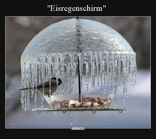 "Eisregenschirm".. - Lustige Bilder | DEBESTE.de