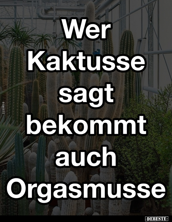 Wer Kaktusse sagt bekommt auch.. - Lustige Bilder | DEBESTE.de
