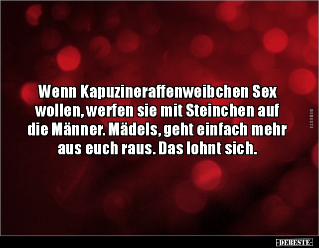 Wenn Kapuzineraffenweibchen Sex wollen, werfen sie mit.. - Lustige Bilder | DEBESTE.de
