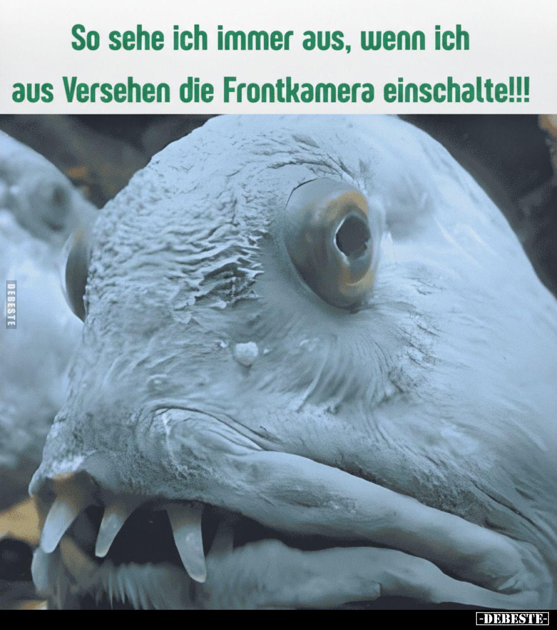So sehe ich immer aus, wenn ich aus Versehen die Frontkamera einschalte!!!