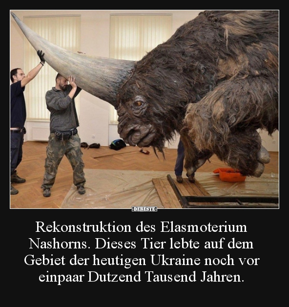 Rekonstruktion des Elasmoterium Nashorns.. - Lustige Bilder | DEBESTE.de