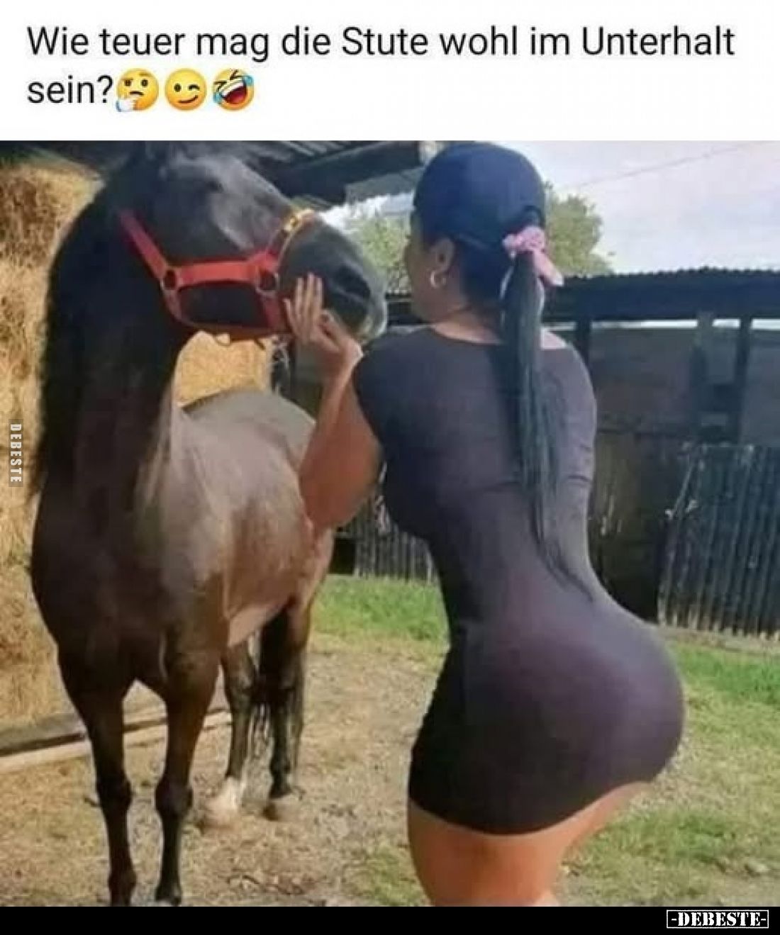 Wie teuer mag die Stute wohl im Unterhalt sein?