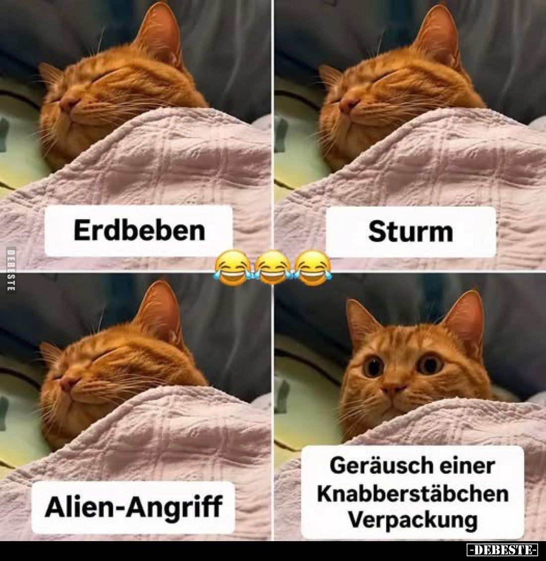 Erdbeben
-
Sturm
-
Alien-Angriff
-
Geräusch einer Knabberstäbchen Verpackung