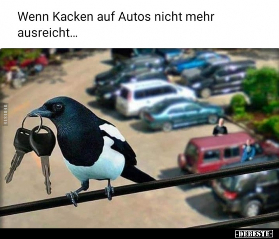 Wenn Ka*cken auf Autos nicht mehr ausreicht... - Lustige Bilder | DEBESTE.de