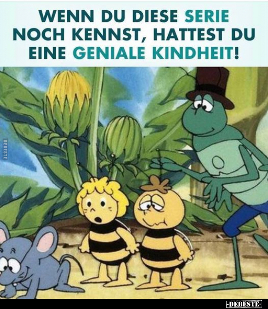 Wenn du diese Serie noch kennst, hattest du eine geniale Kindheit.. - Lustige Bilder | DEBESTE.de